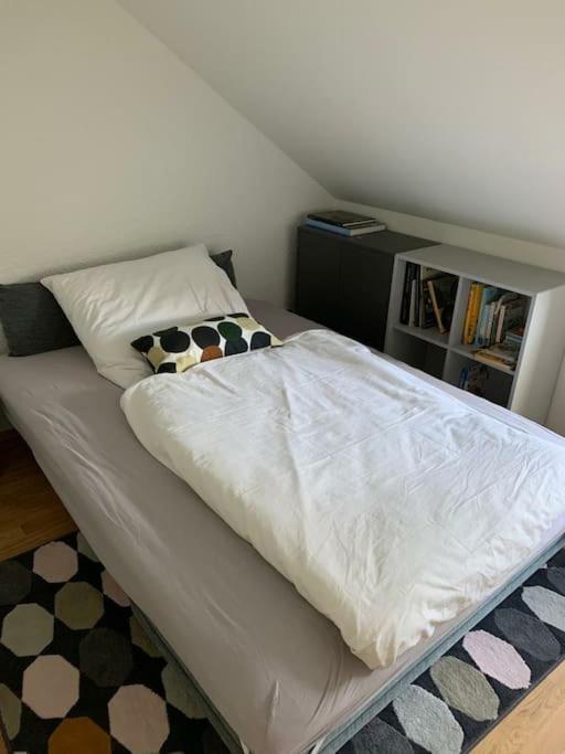 Wohnung Mit Einer Sauna Direkt Am Park Wiesbaden Extérieur photo